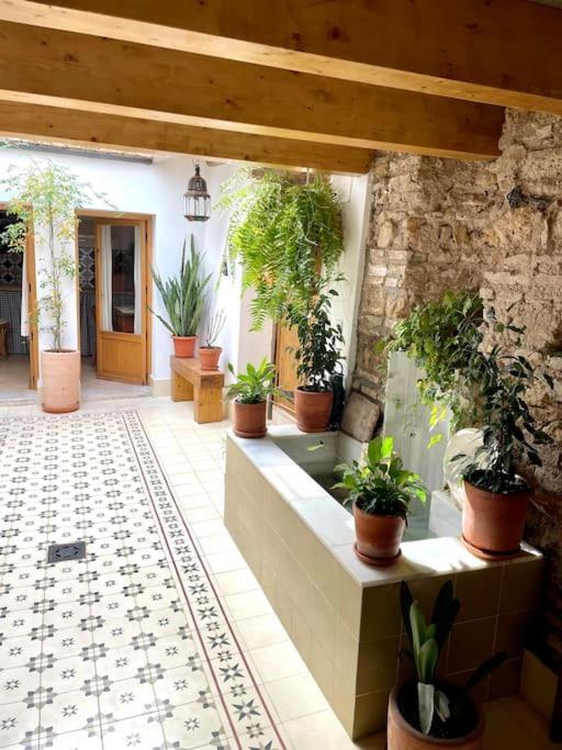 Apartamento En Casa Patio "Pan Y Conejo" Cordoba Ngoại thất bức ảnh